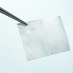 Lyoplant®-Produktbild CW Vergrößerung