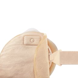 Ally Belt-Avitum Product Image